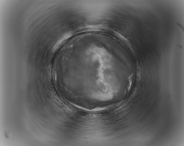 X0000100331411200806261251