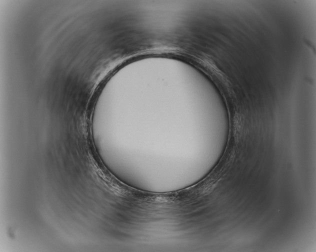 X0000100331412200806261251