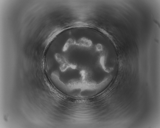 X0000100331415200806261251