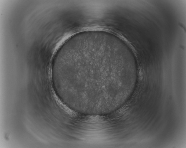 X0000100331416200806261251