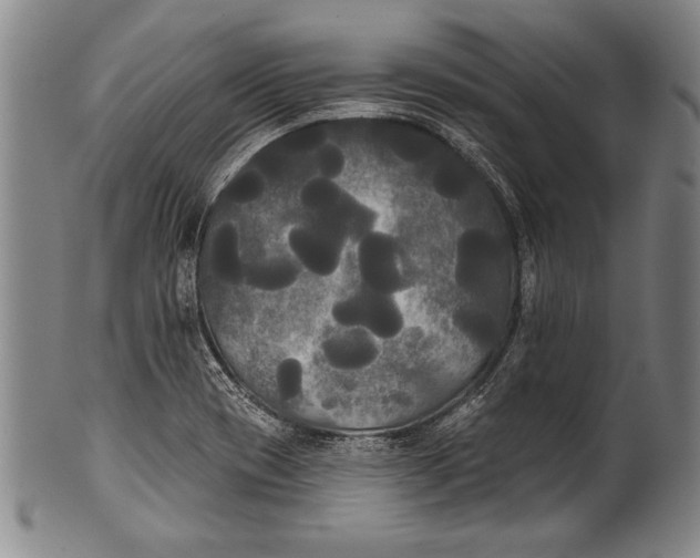 X0000100331417200806261251