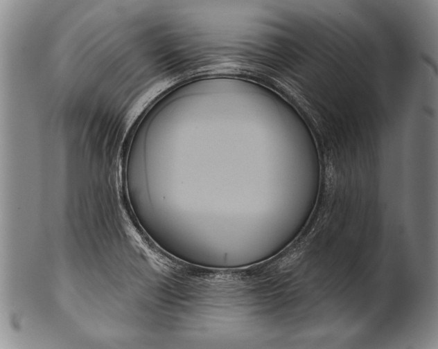 X0000100331418200806261251