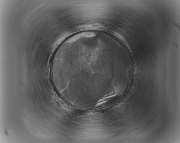 X0000100331419200806261251