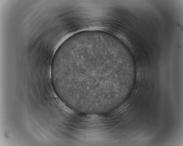 X0000100331420200806261251