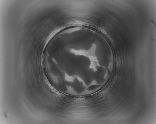 X0000100331421200806261251