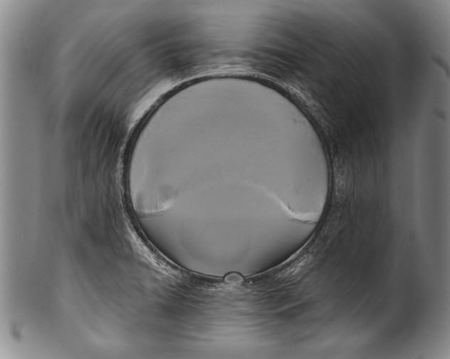 X0000100331422200806261251