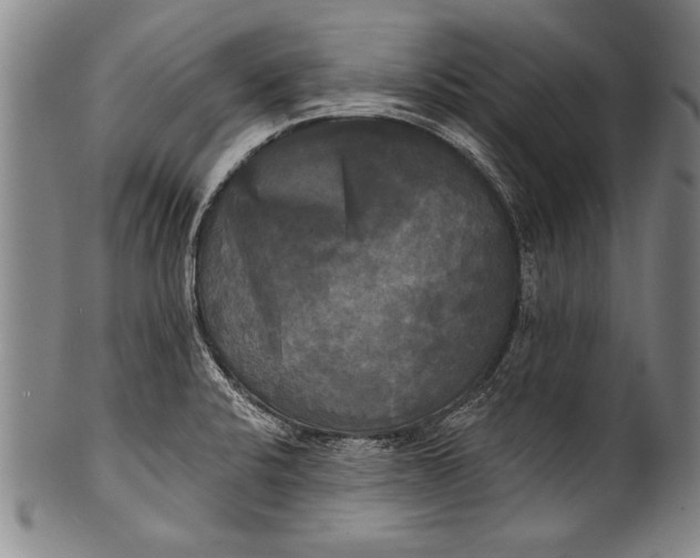 X0000100331424200806261251