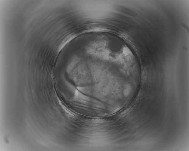 X0000100331425200806261251