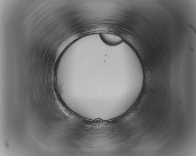 X0000100331426200806261251