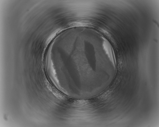 X0000100331427200806261251