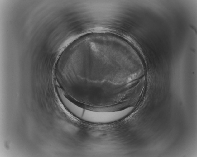 X0000100331429200806261251