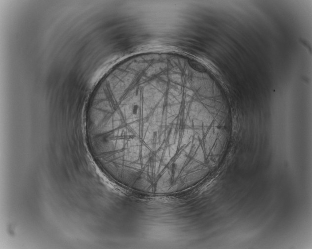 X0000100331430200806261251