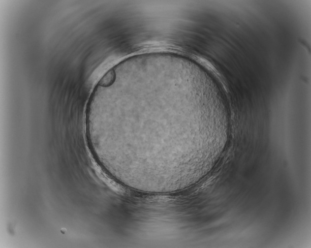 X0000100331431200806261251