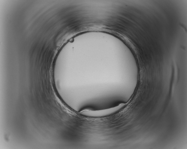 X0000100331432200806261251