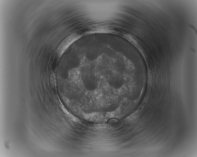 X0000100331433200806261251