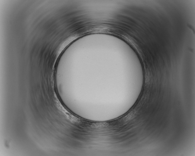 X0000100331434200806261251