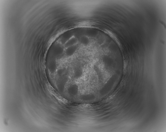 X0000100331435200806261251