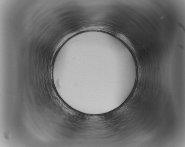 X0000100331436200806261251