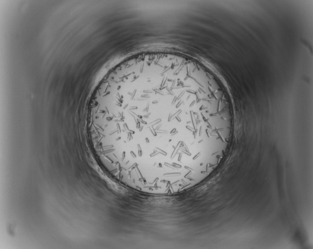 X0000100331437200806261251