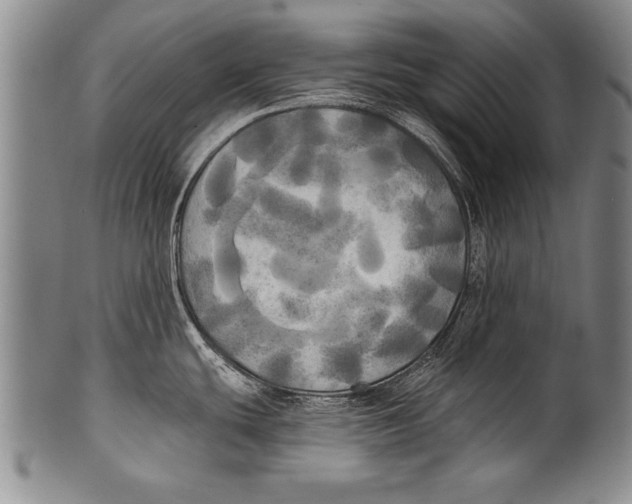 X0000100331439200806261251