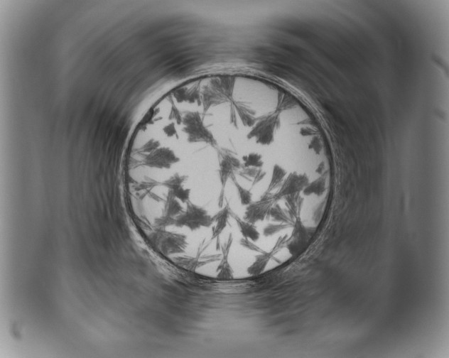 X0000100331440200806261251