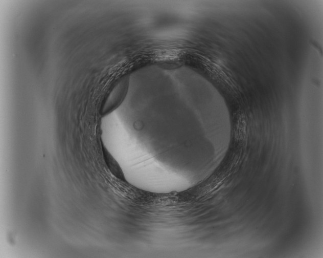 X0000100331441200806261250