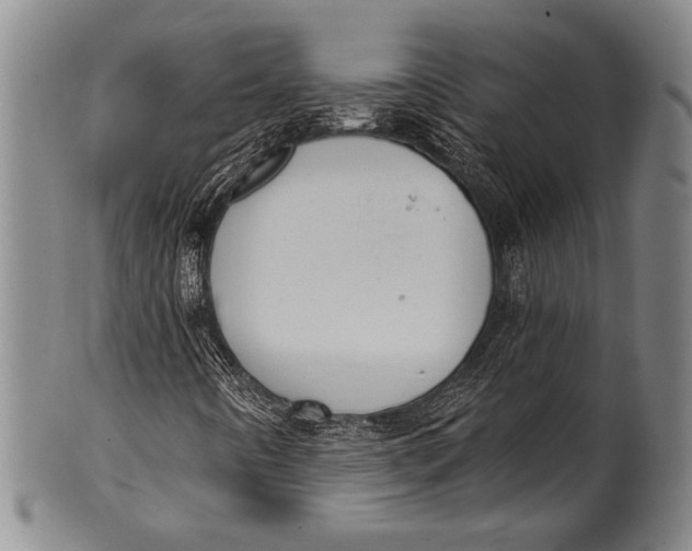 X0000100331442200806261250