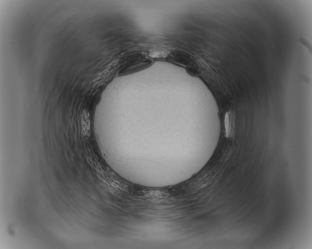 X0000100331443200806261250