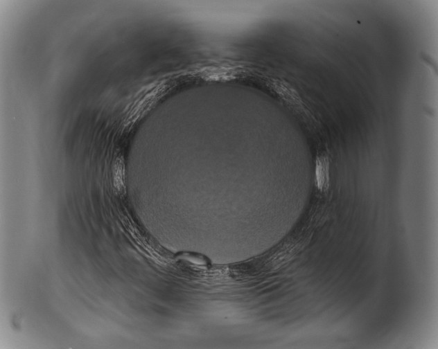 X0000100331444200806261250