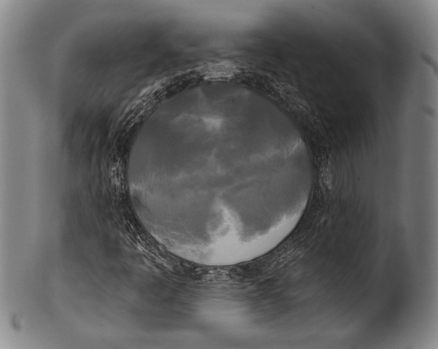 X0000100331445200806261250