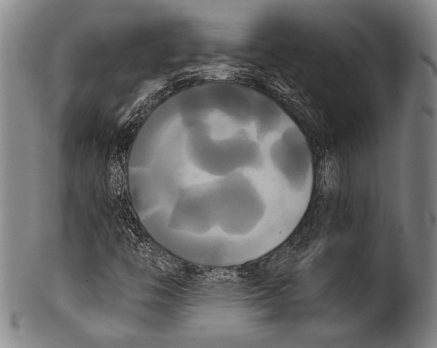 X0000100331446200806261250