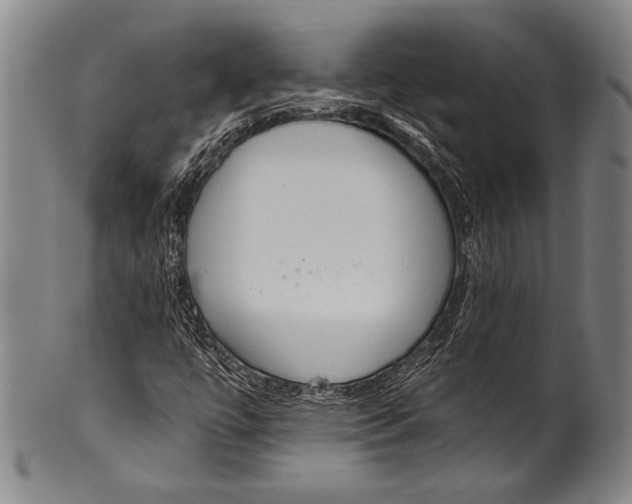 X0000100331447200806261250