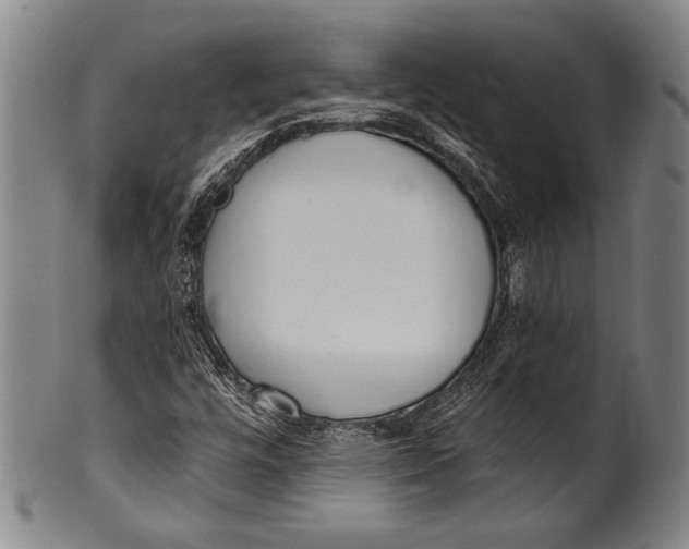 X0000100331448200806261250