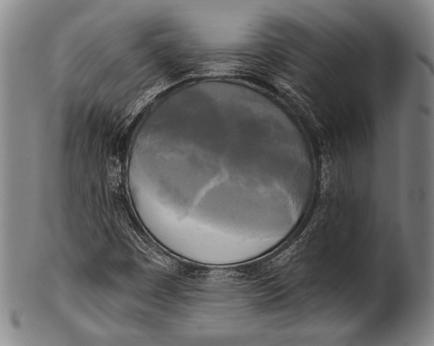 X0000100331449200806261250