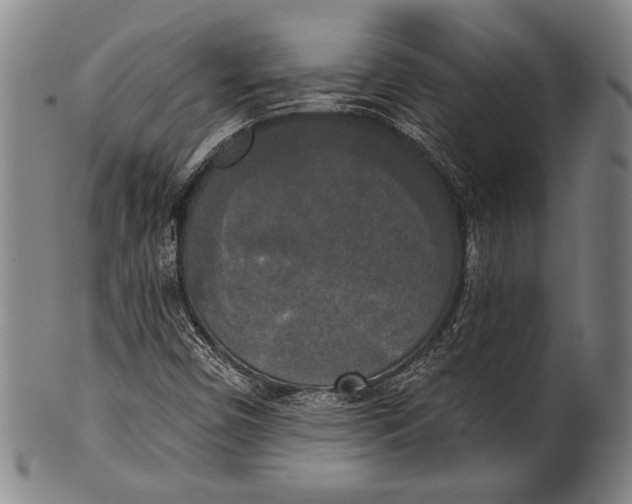 X0000100331450200806261250