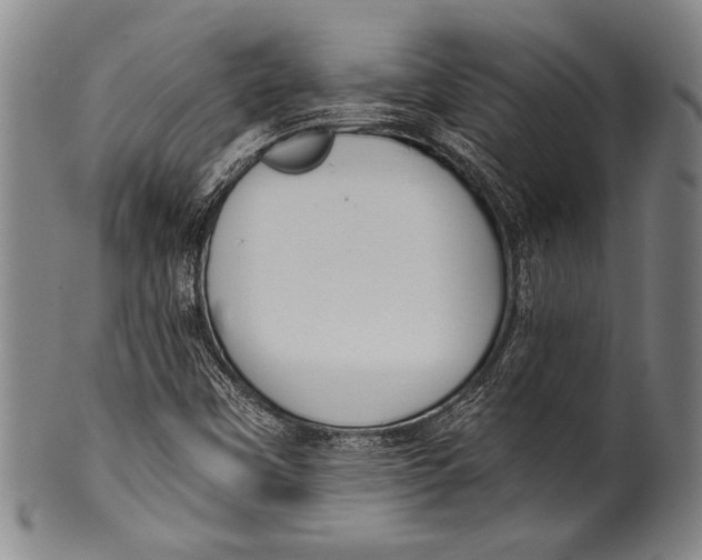 X0000100331451200806261250