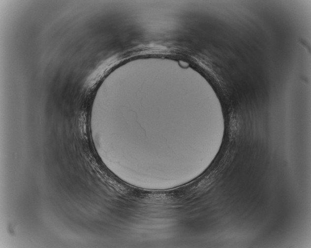 X0000100331455200806261250