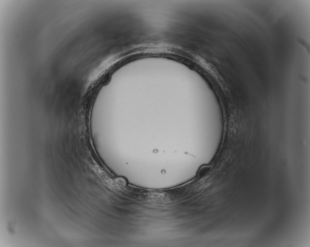 X0000100331456200806261250