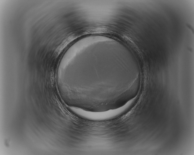 X0000100331457200806261250