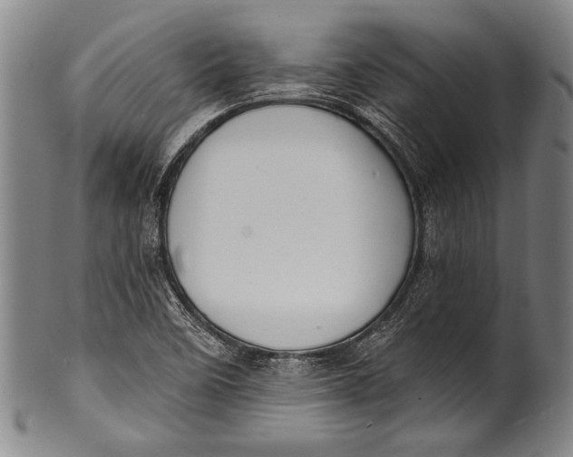 X0000100331458200806261250