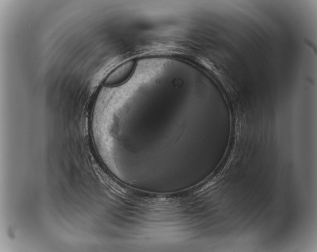 X0000100331459200806261250