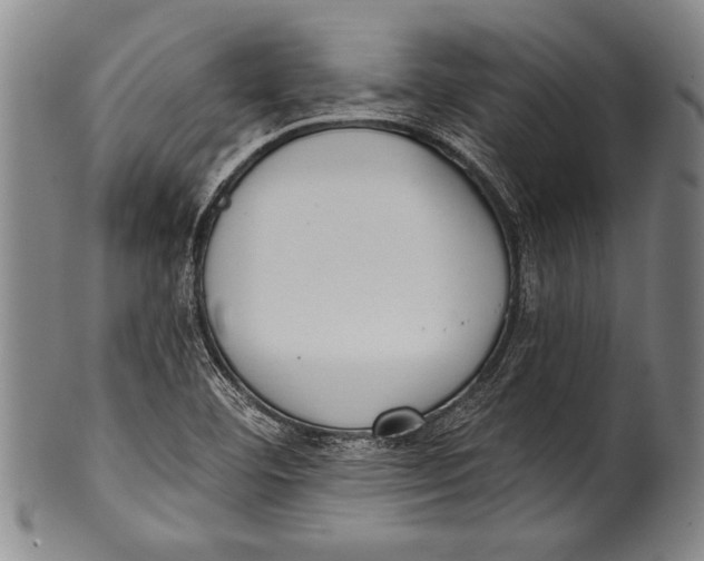 X0000100331460200806261250