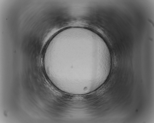 X0000100331462200806261250