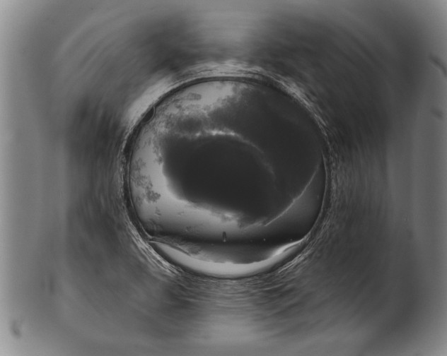 X0000100331463200806261250