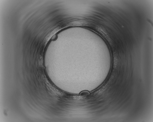 X0000100331465200806261250