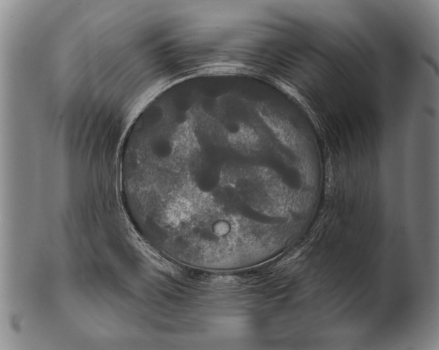 X0000100331467200806261250