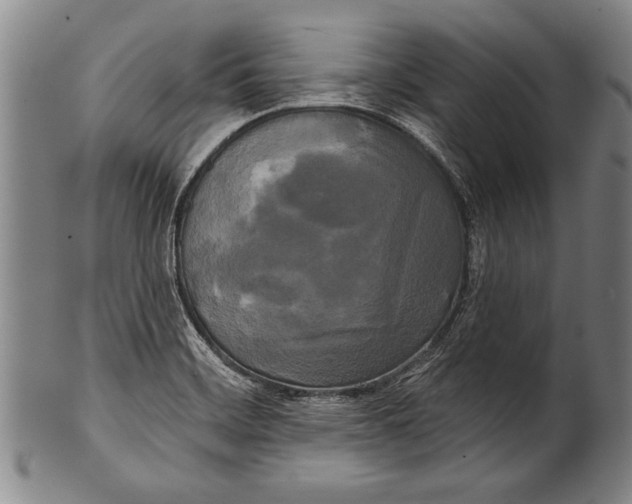 X0000100331468200806261250