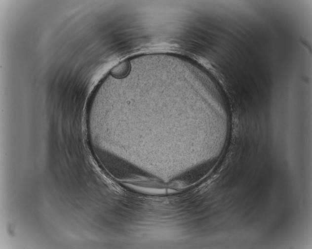 X0000100331469200806261250