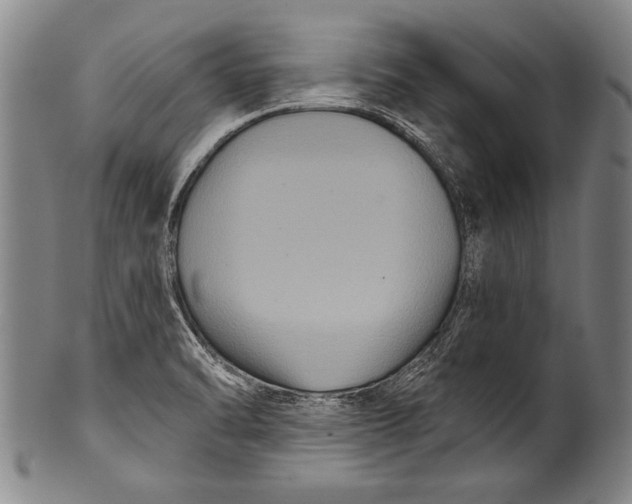 X0000100331470200806261250