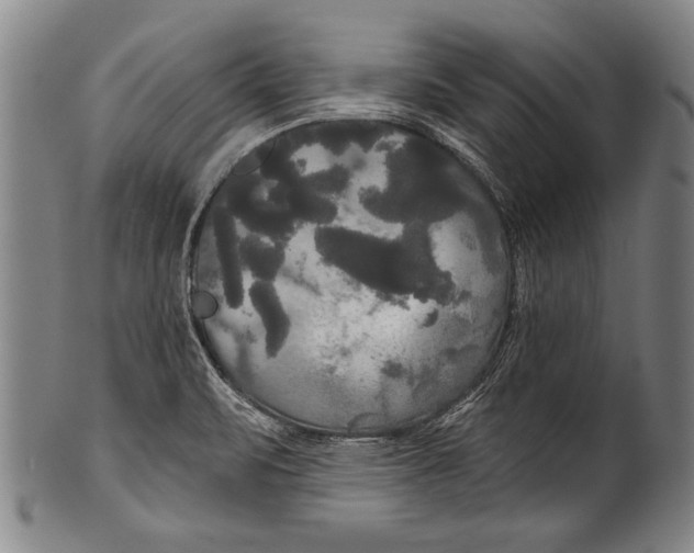 X0000100331471200806261250